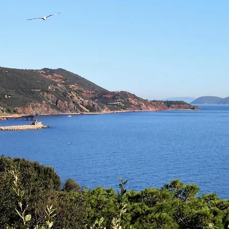 Willa Porticciolo - Argonautivacanze Rio Marina